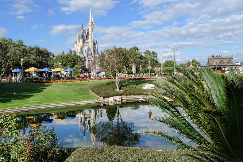 Cinderella_Castle_at_Magic_Kingdom_–_6483694035.jpg