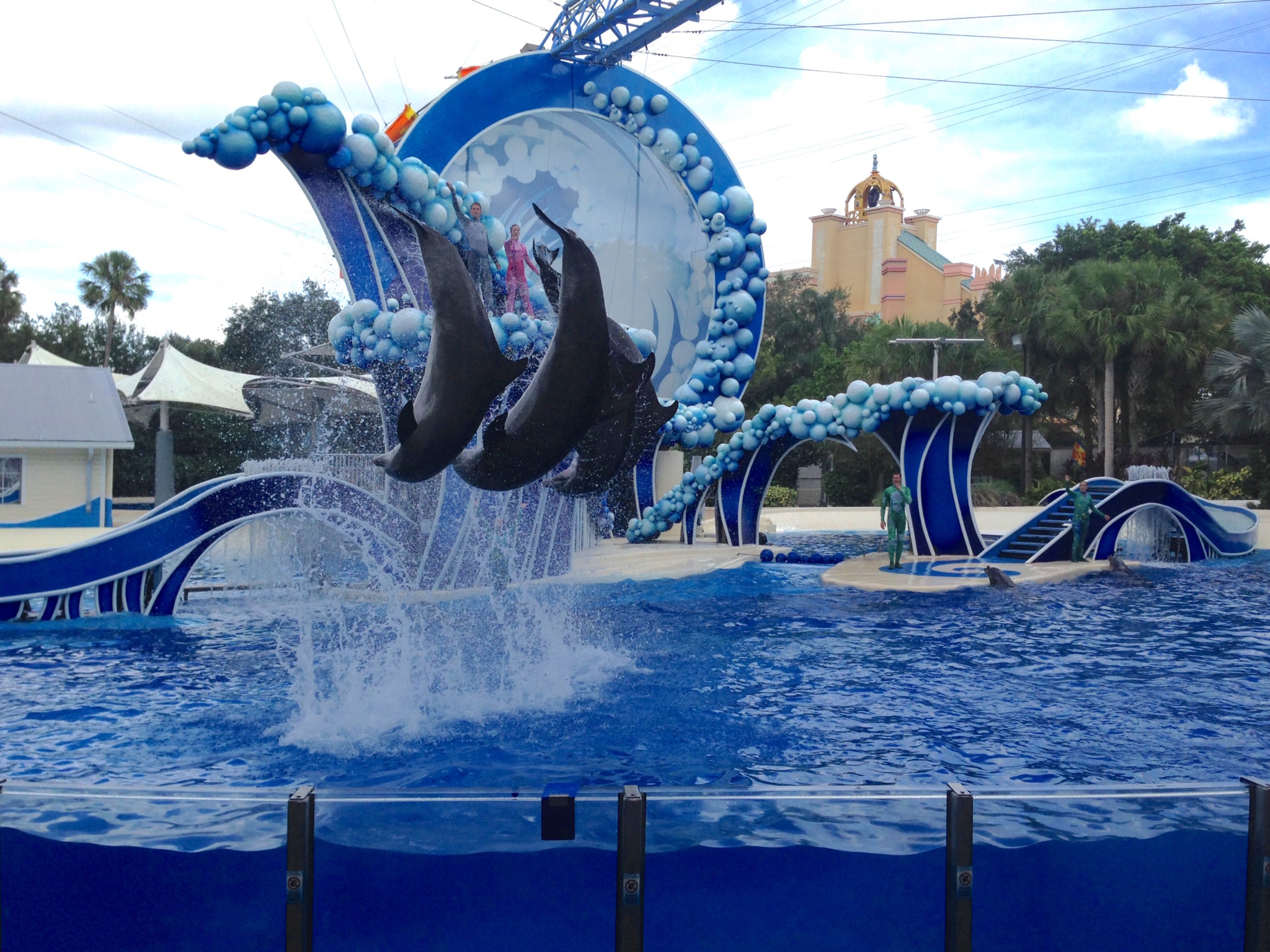 Show Sea World Show Sea World