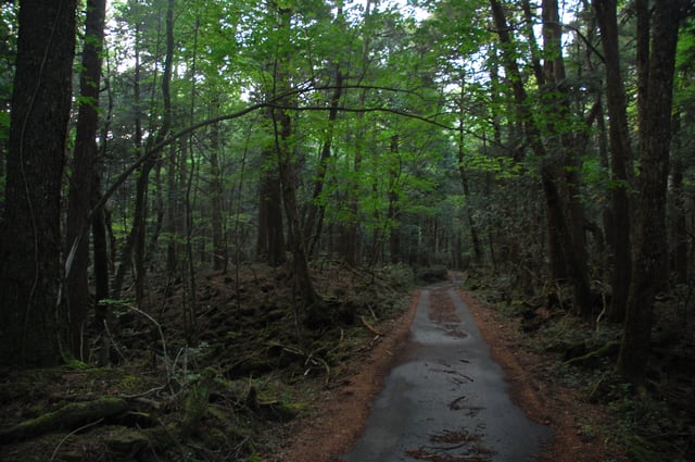 Aokigahara, el bosque de los suicidas
