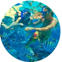 EL ACUARIO DEL MUNDO