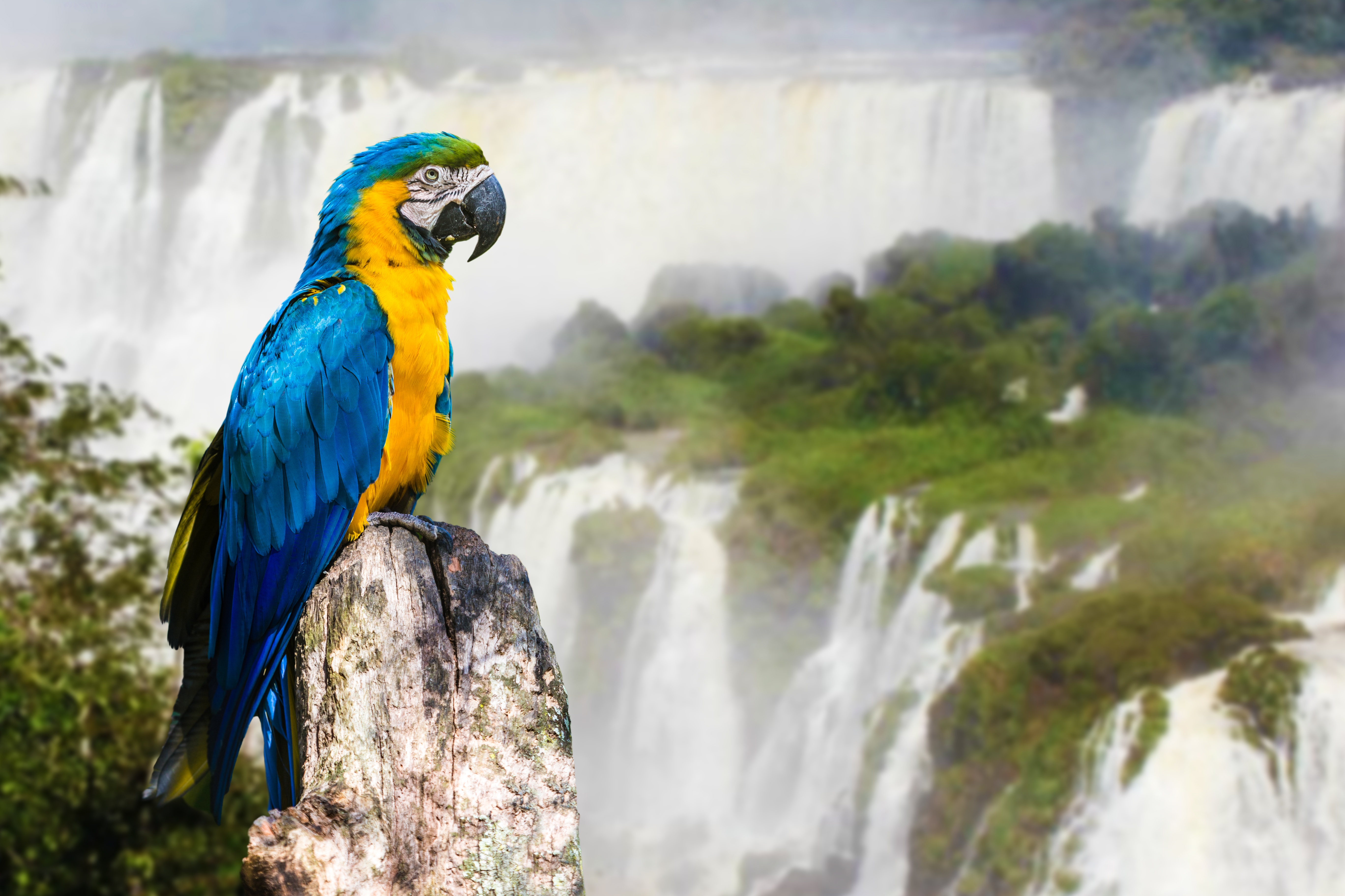 shutterstock_168056360